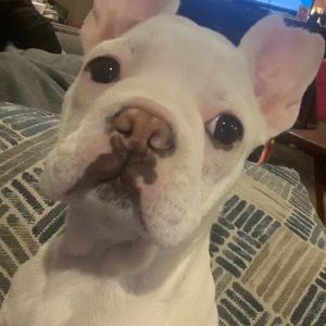 Meet your Posher, Cody